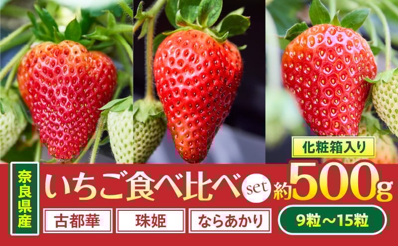 
            【2026年1月～2026年3月上旬発送】「奈良県産いちご3種セット」化粧箱入りいちご 食べ比べ いちご イチゴ 苺 古都華 珠姫 ならあかり 化粧箱 生駒いちご園 果物 フルーツ デザート 贈り物 お取り寄せ お取り寄せフルーツ 奈良県 生駒市 送料無料
          
