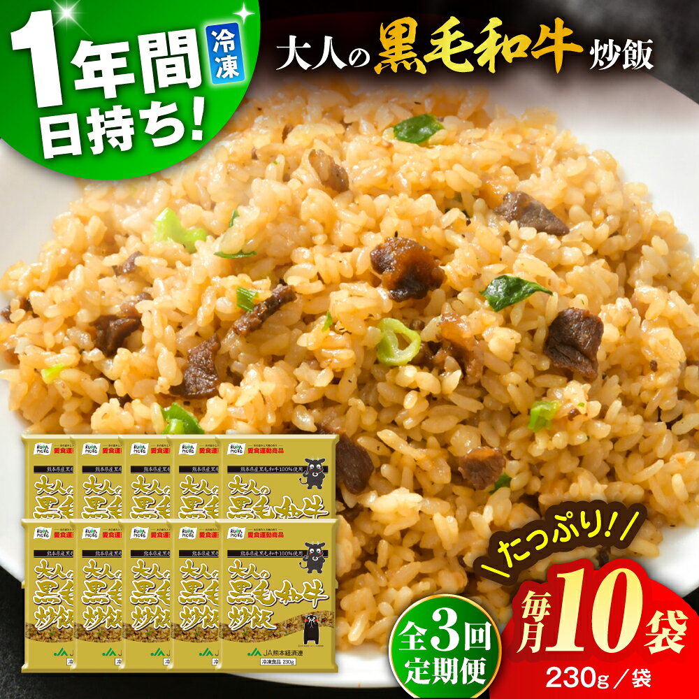 【ふるさと納税】【全3回定期便】熊本県産 こだわり炒飯 大人の黒毛和牛炒飯 計2.3kg (230g×10) 冷凍食品 米飯 和牛 チャーハン 黒毛和牛 牛肉 惣菜 冷凍 中華 冷凍チャーハン 九州 熊本県 菊陽町 【ユーユーフーズ株式会社】[BHCS019]