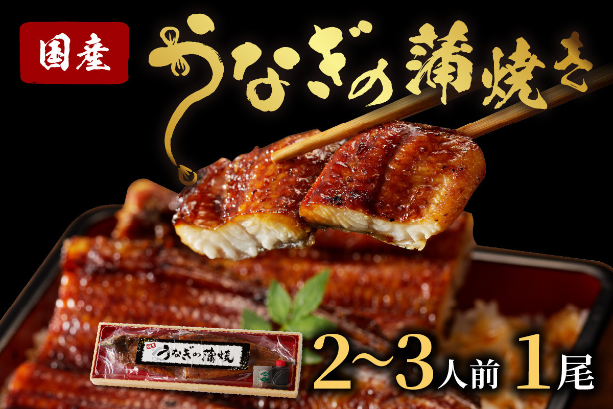 
                  【母の日・父の日にも】うなぎの蒲焼き2~3人前（1尾）ウナギ特製タレと山椒付き　うなぎの蒲焼・ウナギの蒲焼き　ウナギ 鰻 蒲焼 かばやき タレ 丑の日 ふるさと納税 うなぎ ふるさと納税 鰻 国産 ふるさと納税 惣菜 京都 ギフト 贈り物 お祝い　AN00093・AN00081・AN00084
                