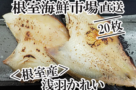 [12月10日決済分まで年内配送]【北海道根室産】一夜干し浅羽かれい20枚 A-14063