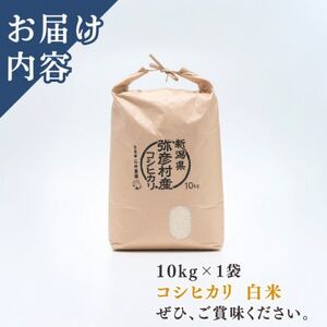 新潟県弥彦村石井農園　令和7年産コシヒカリ【白米 10kg】_弥彦産コシヒカリ 特別栽培米コシヒカリ 皇室献上米 新潟産コシヒカリ_【1508847】