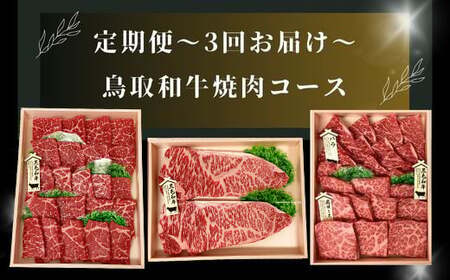 【3回定期便】鳥取和牛 焼肉コース