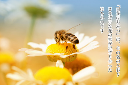 信州特産！！「国産純粋　天然 百花はちみつ」250ｇ｜ハチミツ 蜂蜜 [YY-102-01]