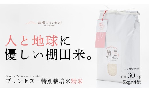 【令和8年産先行予約】【 定期便 3ヶ月 】特別栽培米 魚沼産コシヒカリ 精米 20kg(5kg×4袋)| 苗場プリンセス米 おすすめ 人気ギフト 新潟県 津南町
