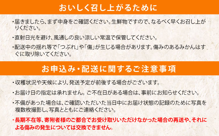 【ANA限定】※【2027年1月より順次発送／先行予約】伊木力温州みかん5kg(ご家庭用、箱入り)  末永果樹園 [AHBD003]