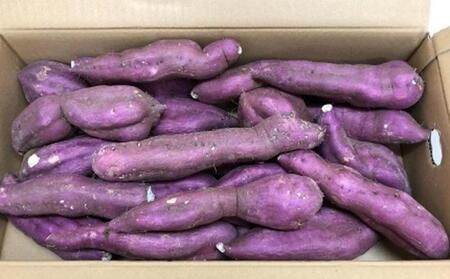 ＜2026年8月下旬以降発送・先行予約＞【訳あり】坂出金時いも　約5kg×2箱　2L～Mサイズ