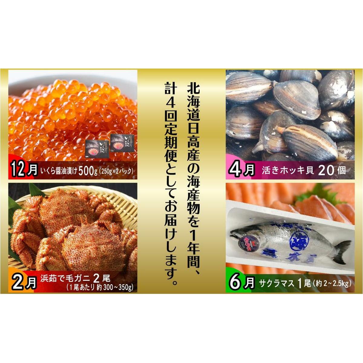 ＜12月から順次発送＞【 定期便 4回 】 北海道産 海の幸 定期便 いくら 500ｇ ( 250 ｇ × 2 パック ) 毛がに 2尾 活きホッキ貝 20個 サクラマス まるごと 1尾 北海道 新ひ