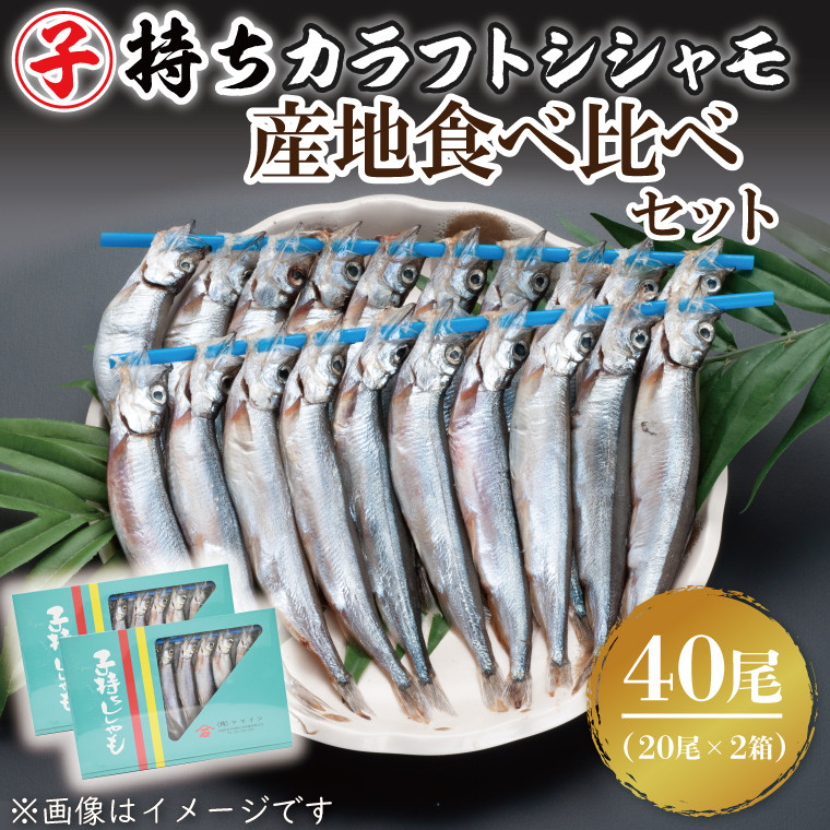 
子持ちカラフトシシャモ産地食べ比べセット４０尾（２０尾×２箱） シシャモ ししゃも カラフトししゃも 大洗 カナダ産 アイスランド産
