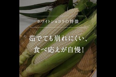 南部町産 朝採れスイートコーン5kg箱 食べくらべセット（バイカラー種・ホワイト種）2026年収穫分＜数量限定＞【先行予約】