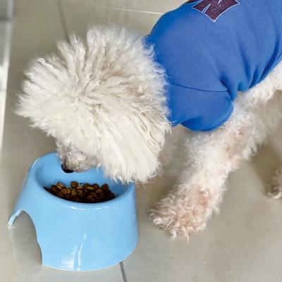 ふるさと納税 瑞浪市 美濃焼　陶器製ペット用フードボウル【高さを出した 台形フードボウル/ホワイト】 |  | 01