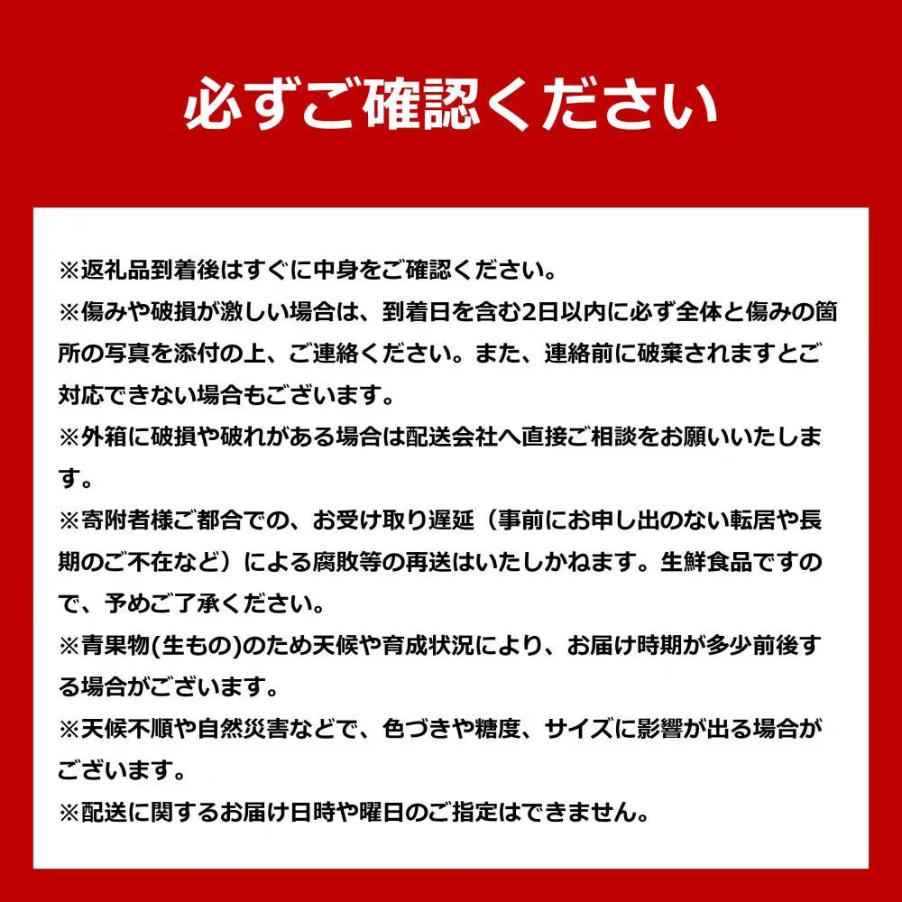 高評価★5.0【先行予約】あさひやま動物園しろくまコーン4kg(ホワイトレディ10本)2026年8月下旬から発送開始 | とうもろこし 北海道産とうもろこし _00308
