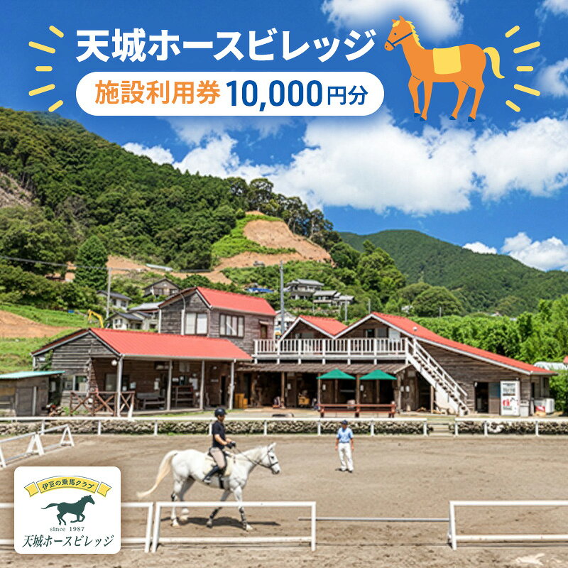 【ふるさと納税】体験チケット 施設利用券 10000円 レッスン チケット 天城ホースビレッジ 乗馬クラブ 静岡県河津町