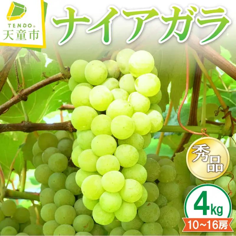 ぶどう ナイアガラ 4kg フルーツ 果物 山形 ブドウ