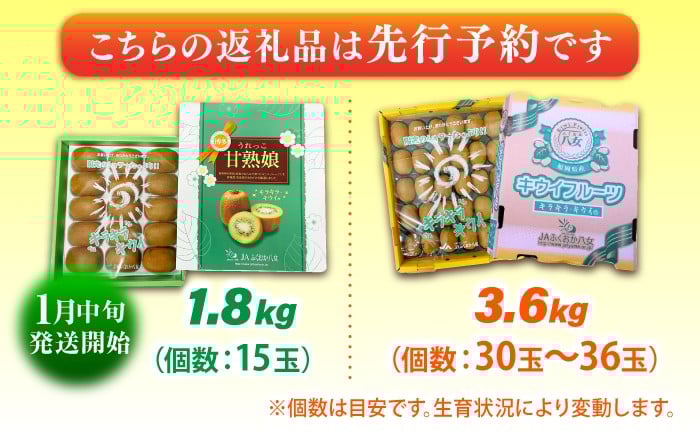 果物 キウイ きうい 選べる ビタミン 美容 キウイ