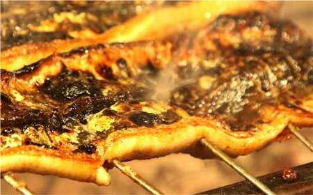 木曽三川 ウナギの蒲焼 150g ×1尾 ／ うなぎ 鰻 ウナギ 国産 国産鰻 蒲焼 蒲焼き 鰻の蒲焼き 土用の丑の日 丑の日 良質 老舗 冷凍 三重県 桑名市