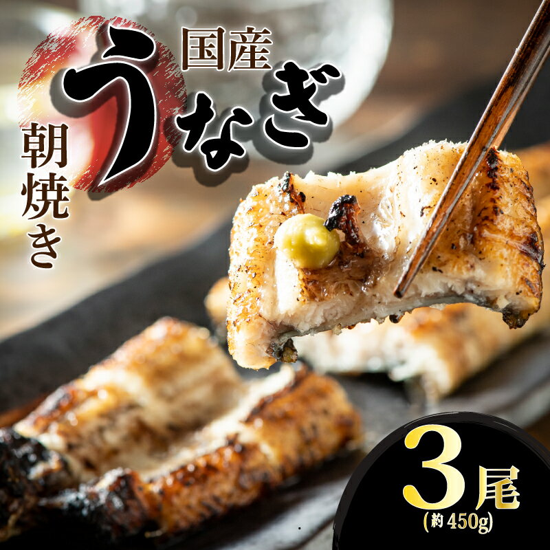 【ふるさと納税】柳川朝焼きうなぎ 3尾入 約150g×3 合計約450g タレ・山椒6袋