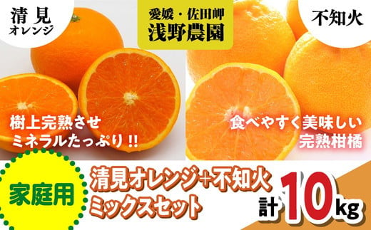 【先行予約】【家庭用】清見オレンジ＋不知火ミックスセット 計10kg｜柑橘 みかん ミカン フルーツ 果物 愛媛 ※2025年3月上旬頃より順次発送予定 ※離島への配送不可