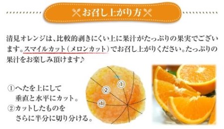 清見オレンジ 約8kg / 果実サイズおまかせ ※2026年2月中旬～2026年4月下旬頃発送予定　紀伊国屋文左衛門本舗【ntb401C】
