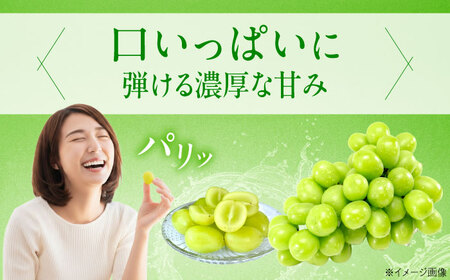 【先行予約】ロザリオ・ビアンコ 約2kg1箱（4房～6房）＜2026年8月下旬から発送＞/ ロザリオ・ビアンコ ぶどう ブドウ 葡萄 愛媛県 愛媛 内子町 フルーツ 果物 送料無料 美味しい おすすめ