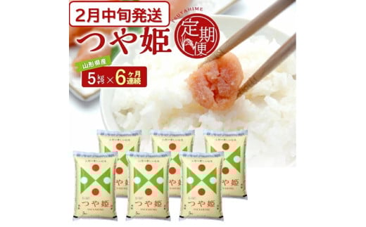 2月中旬発送開始／【6回定期便】 特別栽培米 つや姫 5kg×6ヶ月連続 計30kg 令和7年産 山形県産 精米 白米 庄内米 米 ごはん ご飯 酒田市 庄内 山形県 東北 農協 JAそでうら SM0041