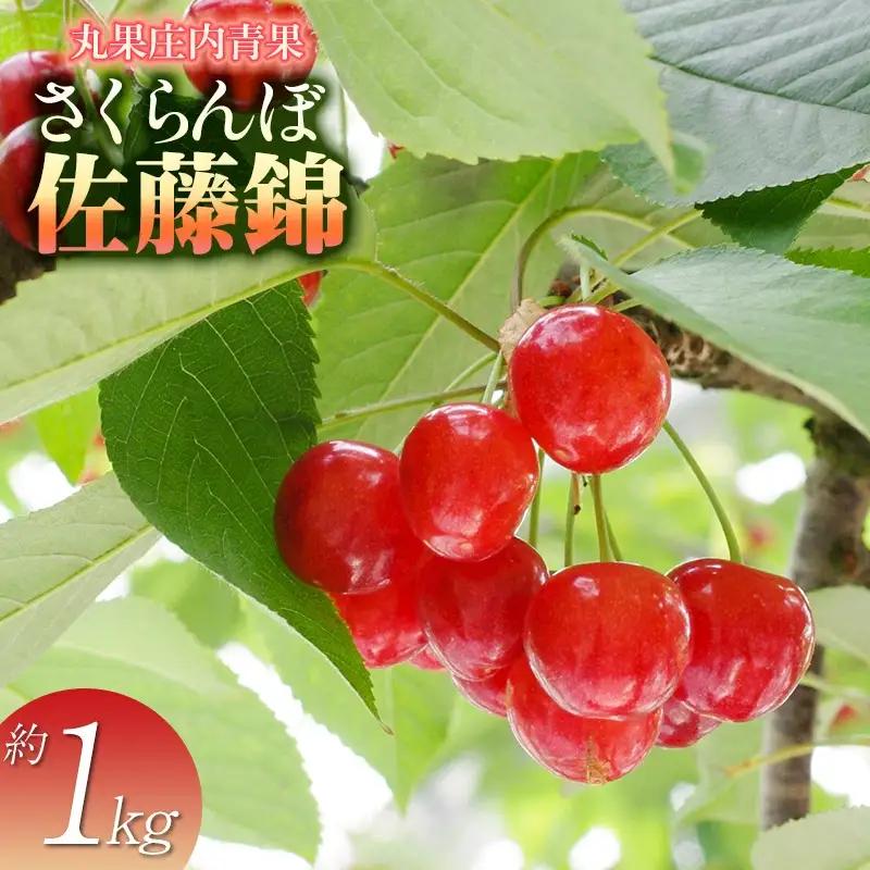 【令和8年産先行予約】さくらんぼ　佐藤錦 約1kg 山形県庄内産　丸果庄内青果　| サクランボ チェリー 佐藤錦 果物 くだもの フルーツ 1キロ 甘い 完熟 旬 産地直送 人気 美味しい 2026年産 お取り寄せ 山形県 鶴岡市 東北 返礼品