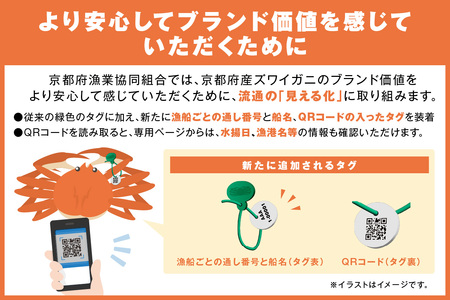 【訳あり！！幻のズワイ蟹】　京丹後産　活間人蟹　鮮度抜群、活きたままお届け！！ 800g級（足1本落ち）×1杯