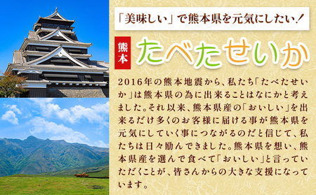 熊本あか牛 特選カルビ 500g 合同会社たべたせいか《30日以内に出荷予定(土日祝除く)》熊本県 菊池市 肉 牛肉 お肉 和牛 あか牛 焼き肉 焼肉 やきにく BBQ バーベキュー 特選 カルビ 熊