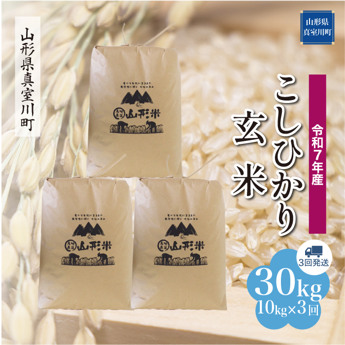 ＜令和7年産米＞ こしひかり 【玄米】30kg 定期便 (10kg×3回) 　配送時期指定できます！ 山形県真室川町