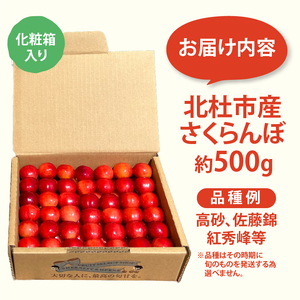 【2025年先行予約】山梨県北杜市産　旬の採れたてさくらんぼ　約500g さくらんぼ 高砂 佐藤錦 紅秀峰 約500g 2025年 先行予約 期間限定 数量限定 採れたて大粒 大玉 果物 くだもの 夏