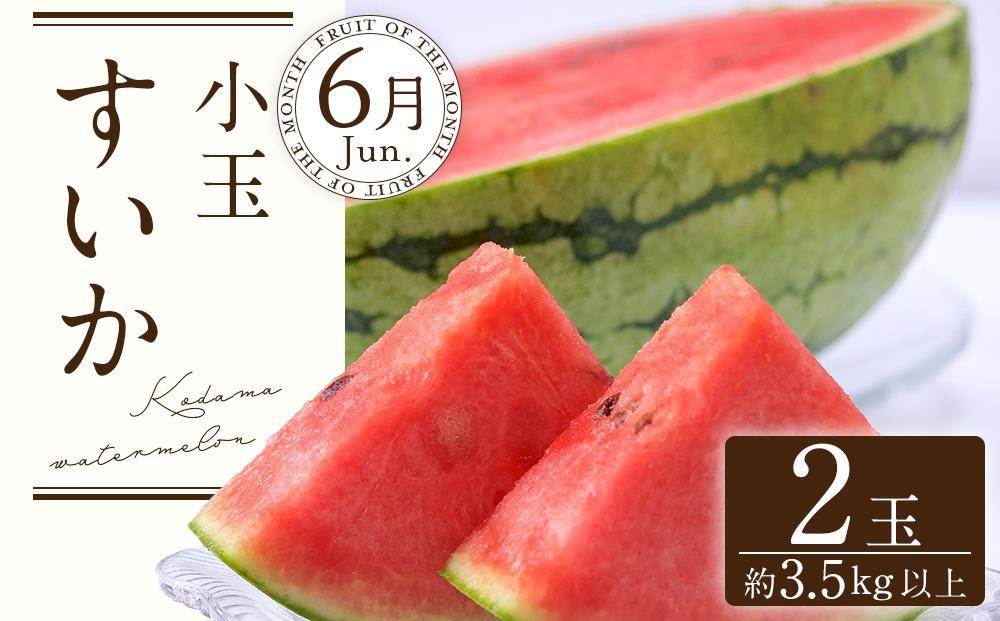 定期便全3回　和歌山の人気の夏のフルーツをお届け！