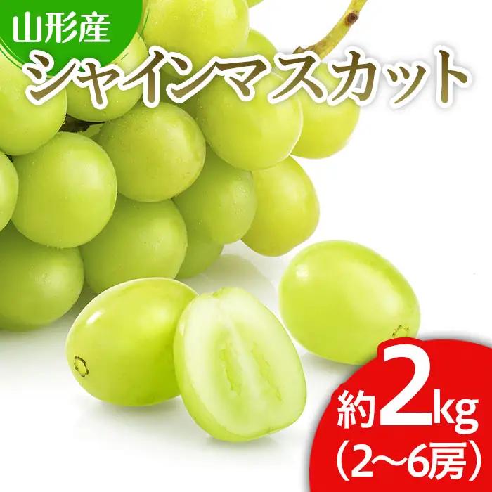 山形市産 シャインマスカット 秀 2kg(2～6房)[前半]【令和8年産先行予約】FS24-659 くだもの 果物 フルーツ 山形 山形県 山形市 2026年産