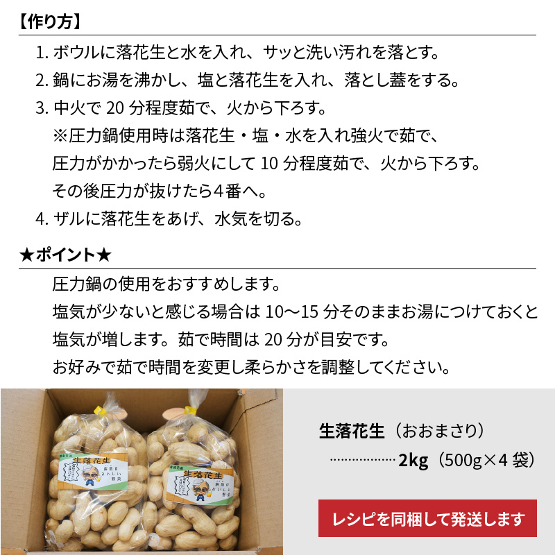 生落花生 おおまさり 2kg とれたて 耕地の美味しい野菜シリーズ第1弾　H132-028