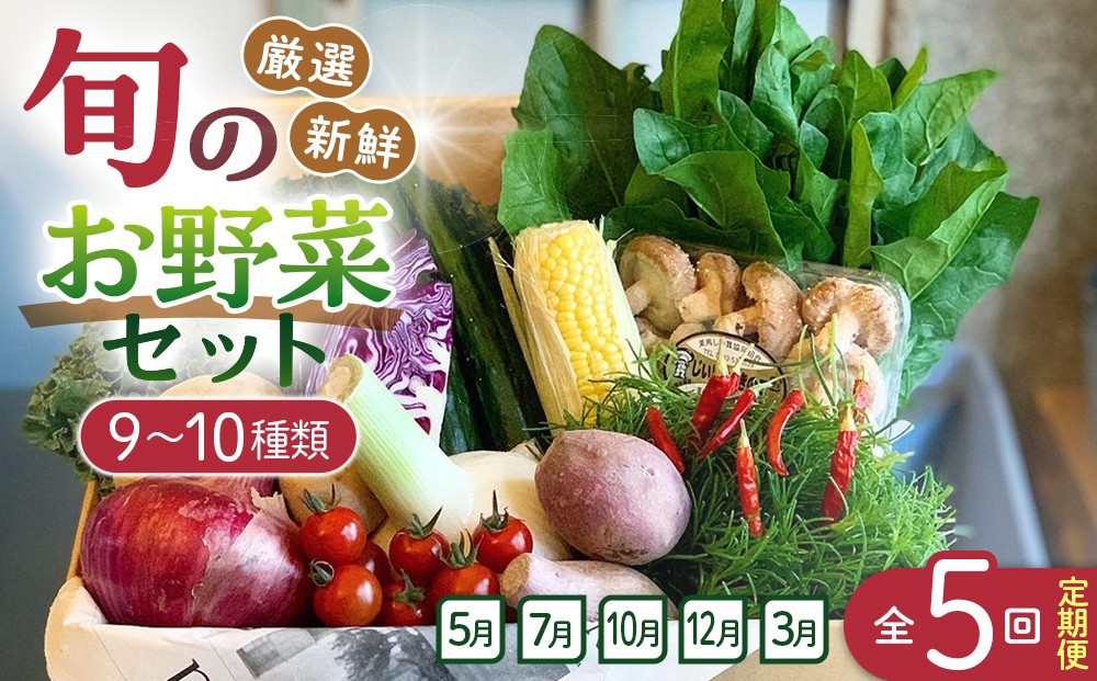 
                  【全5回定期便】野菜セット 旬の野菜 （9~10種類)
                