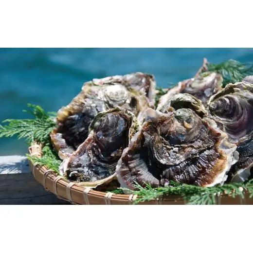 牡蠣 【産地直送】大粒 3kg 冷蔵 牡蠣 かき A163