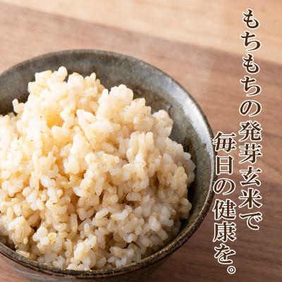 ふるさと納税 九重町 発芽玄米(大分県産ミルキークイーン) 無洗米1.5kg×3袋(4.5kg) |  | 02