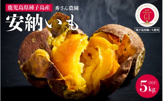 【先行予約】安納いも さつまいも 5kg (Lサイズ)【秀さん農園】種子島 焼きいも 焼き芋 本場 安納芋  さつま芋 甘い ねっとり スイーツ おやつ グルメ お取り寄せ おせち 人気 種子島産 返礼品 南種子町 鹿児島 かごしま 【観光物産館トンミー市場】
