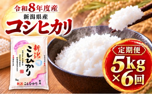 
                  【令和8年産 新米】【定期便 6ヶ月】新潟県産 コシヒカリ 5kg×6回 (計30kg) 米 お米 こしひかり 精米 白米 新潟市
                