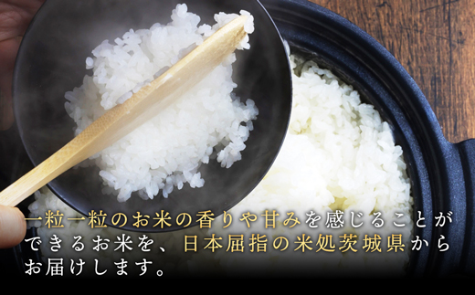 【新米先行受付】令和7年産『五霞の輝き』無洗米・16kg(5kg×2袋、6kg×1袋)出荷日に合わせて精米 - ブレンド米 お米 コシヒカリ あきたこまち ミルキークイーン ひとめぼれ ゆめひたち あ