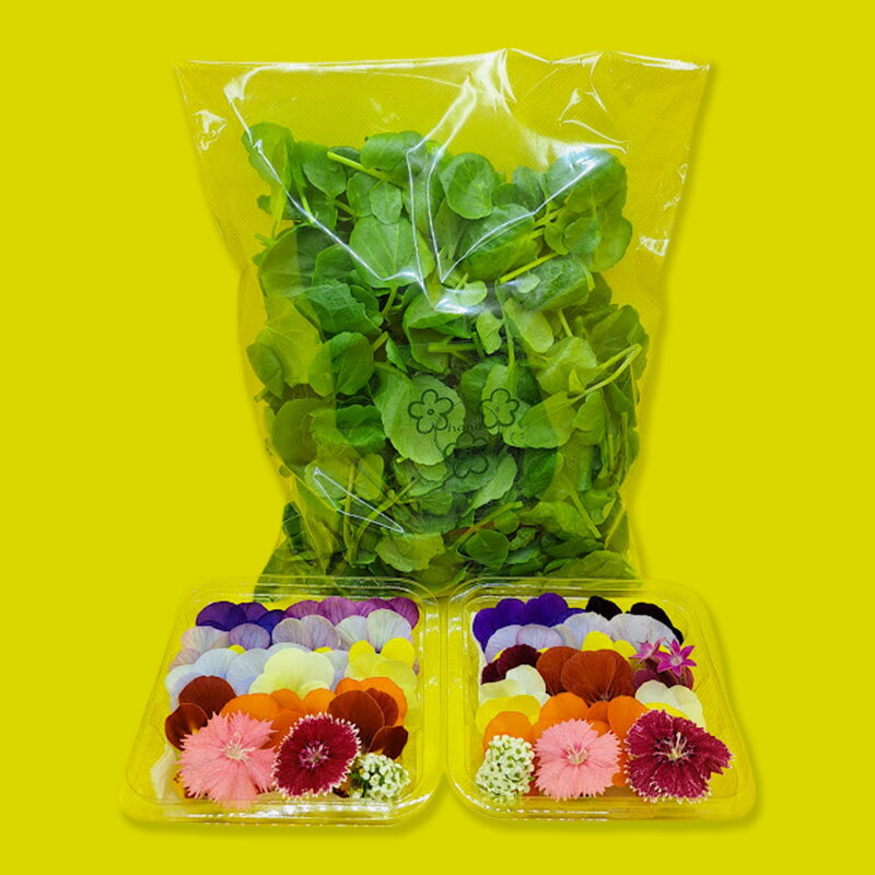 【ふるさと納税】【Aセット】エディブルフラワー(生花20輪)2パック サラダクレソン(80g) 食用花 食べられる花 生け花 誕生日 プレゼント 飾り付け 食用 お菓子【配達不可：離島】
