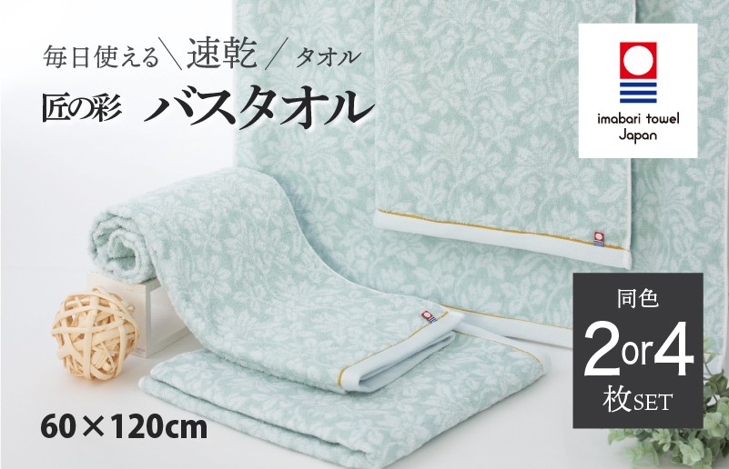 
                  今治タオル 匠の彩 バスタオル 同色2～4枚セット（ブルー） 【I002910】 今治タオル タオル 今治バスタオル ギフト ギフトセット お祝い 贈り物 日本製 プレーリードッグ
                