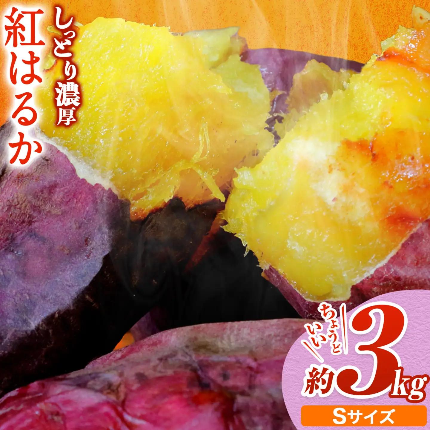 【先行予約】タカハマ観光農園 の 紅はるか 約3kg Sサイズ