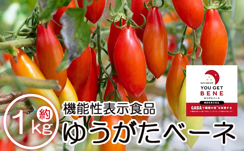 
            【先行受付】機能性表示食品 ミニトマト ゆうがたベーネ 1kg - ミニトマト プチトマト フルーツトマト ギフト のし対応 高糖度 お歳暮 御歳暮 贈答用 贈り物 is-0013
          