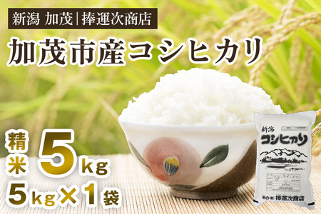 【令和8年産新米先行予約】加茂市産コシヒカリ 精米5kg（5kg×1袋） 《10月上旬～順次出荷》
