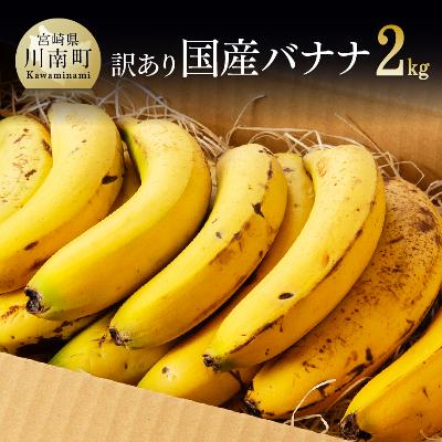 ふるさと納税 川南町 【訳あり】国産バナナ2kg