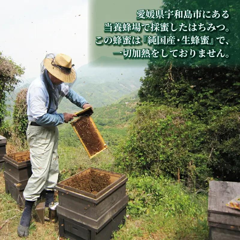 国産はちみつ みかん蜜 500g ギフト箱入 元気や みかん 愛媛みかん mikan 人気ハチミツ 国産純粋はちみつ 蜂蜜 はちみつ ハチミツ ハニー honey 非加熱 国産蜂蜜 純粋はちみつ 純粋