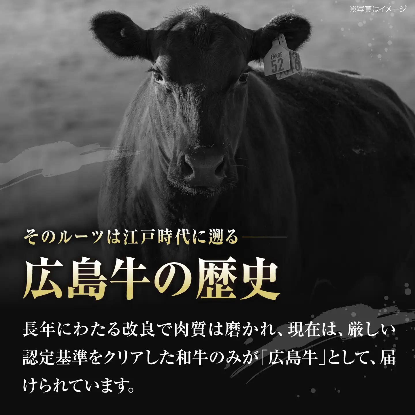【全3回定期便】牛肉 焼肉 肩ロース 300g [APAZ070] 牛肉