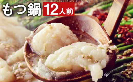 九州鍋グランプリ受賞 ぷりぷり もつ鍋 セット（12人前《90日以内に出荷予定(土日祝除く)》）菊池市産・熊本県産和牛使用