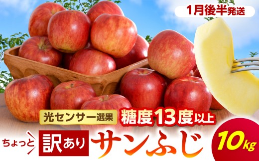 【先行受付】【2027年1月後半発送】 【訳あり】 りんご 約10kg サンふじ 青森産