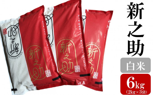 令和7年産米【五ツ星お米マイスター厳選】新之助 白米 6kg（2kg×3袋）[Y0423]