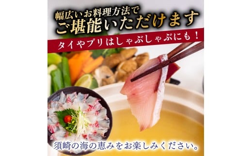 4ヶ月 定期便 刺身 鮮魚 4回 定期便 新鮮 国産 （ ブリ かつお たたき キハダ マグロ 真鯛 ）タイ 鰹 たい セット 冷凍 冷蔵 しゃぶ 鯛 お鍋 海鮮 年末 年始 大晦日 正月 高知県 須